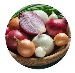 cebolla
